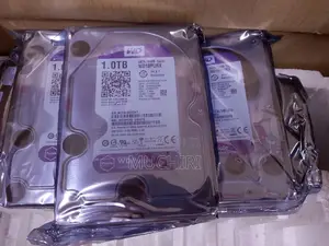 1TB HDD ya Surveillance kwa Mifumo ya Usalama