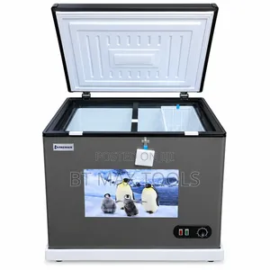 Premier Chest Freezer