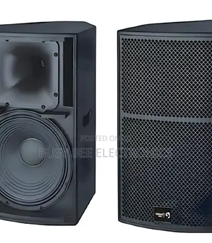 Thunder Sound TS1 12 Two-Way Full-Range Loudspeaker
