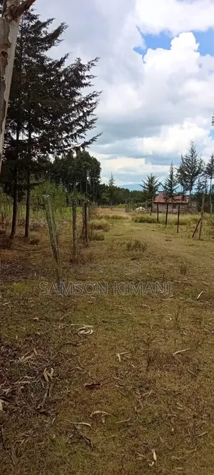 Kinangop 1 Acre Agricultural Land