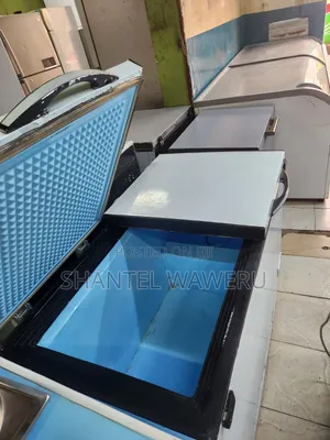 Premier Freezer Milango Miwili 450L I tumika