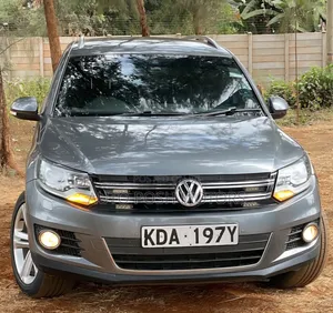 Volkswagen Tiguan 2015 Gray