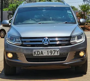 Volkswagen Tiguan 2015 Silver