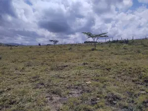 600 Acre Mixed-Use Land for Sale in Magadi