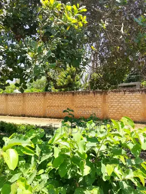 Kitalu cha 1/8 Eka kwa Uuzaji Mvindeni, Ukunda