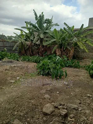 Kiwanja cha 100x100 Kinauzwa Githurai