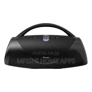 Hisense Voyage Boom Speaker