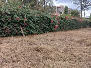 Kitalu Kinauzwa Bei Nafuu, Toll, Kimbo
