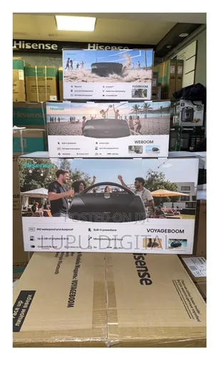 Hisense Flexboom Speaker Portable