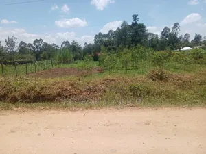 50x100 Plot for Sale in Makunga