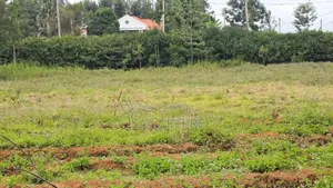 Eneo la Biashara kwa Uuzaji - South B