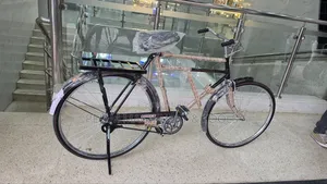 Raja/Royal Traditional Adult Bicycle - Size 28"