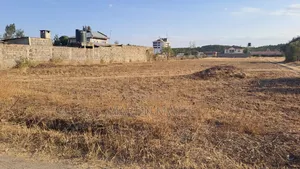 Kiwanja Ruiru Kamakis Kinauzwa - Matumizi ya Kibiashara