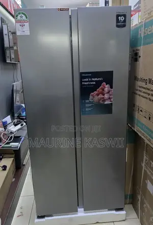 Hisense 441L Side-by-Side Refrigerator (REF441DR)