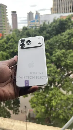 Apple iPhone 17 Pro Max 256GB Silver (Used)