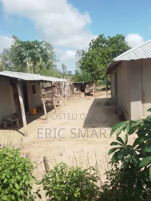5 Acres Farmland for Sale, Witu, Lamu
