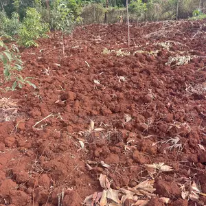 Plots for Sale in Kenol, Maragua Area