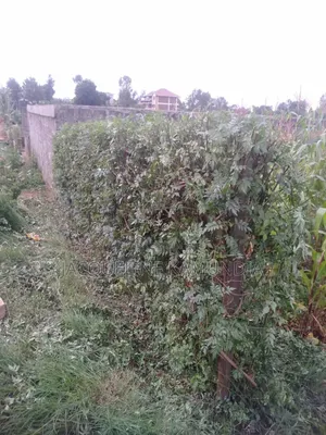 50x100 Plot for Sale in Lower Kabete