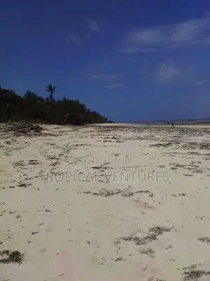 Beachfront Land for Sale - Central Diani