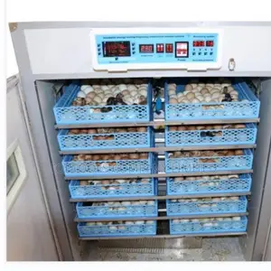 528-Egg Incubator Moja kwa Moja na AC/DC na Roller
