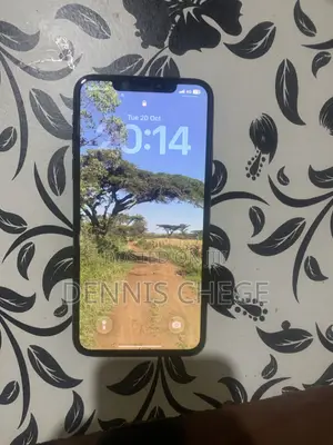 Apple iPhone 11 Pro Max 64GB Green