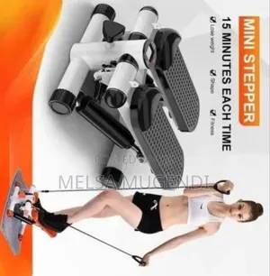 Portable Mini Stepper Fitness Machine