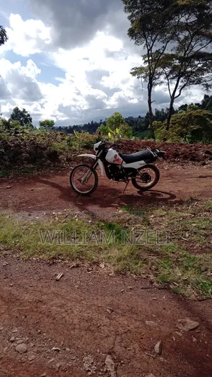 Yamaha DT125 2004 Nyeupe