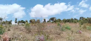 10 Acres Farmland in Malili, Near Kwa DC, Connected to Kamaku Dam