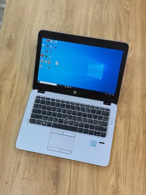 HP EliteBook 820 G3 Laptop - Core i5, 8GB RAM, 256GB SSD