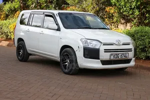 Toyota Probox 2017 Rangi ya Loti