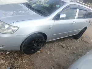Toyota Corolla Fielder 2005 Silver