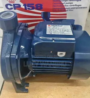 1HP Pedrollo CPM 158 Water Pump