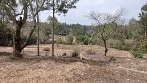 1/8 Acre Residential Plot for Sale in Ongata Rongai Nkoroi