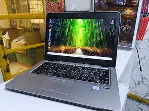 HP EliteBook 820 G3 Laptop - Core i5, 8GB RAM, 256GB SSD