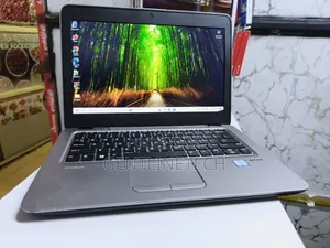 HP EliteBook 820 G3 Laptop - Core i5, 8GB RAM, 256GB SSD