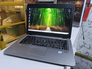 HP EliteBook 820 G3 Laptop - Core i5, 8GB RAM, 256GB SSD
