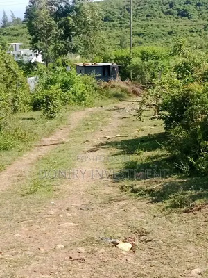 Half Acre Plot for Sale in Kisumu Ojolla