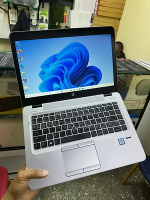 HP EliteBook 820 G3 Laptop - Core i5, 8GB RAM, 256GB SSD