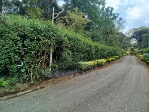 0.5 Acre Land for Sale in Karen Muteero