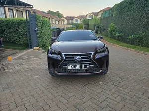 Lexus NX 300h FWD 2017 Rangi ya Burgundy