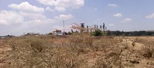 Quarter Acre Plots for Sale in Ngong Kimuka