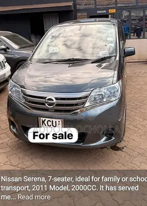 Nissan Serena 2011 Bluu