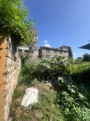 Eneo Bora la Nyali Linauzwa