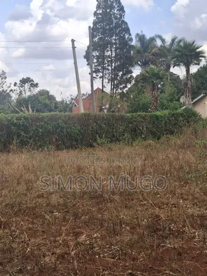 Thome Garden Estate: Prime 1/2 Acre in Gated Court