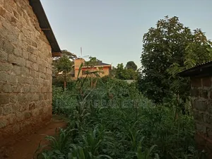 Kitalu cha 1/4 Eka Kamangu Town, 150m kutoka Tarmac