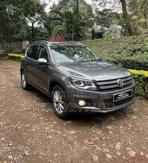 Volkswagen Tiguan 2014 Kijivu