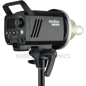 Godox MS300 Studio Flash Head