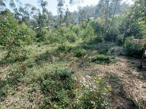 Kitalu cha 0.5 Eka Kinauzwa Ikonyero, Kakamega