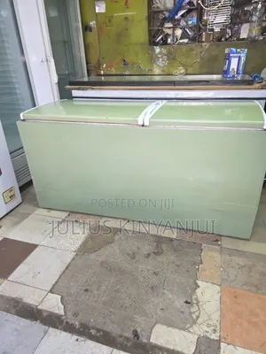 Exuk 600L Deep Freezer