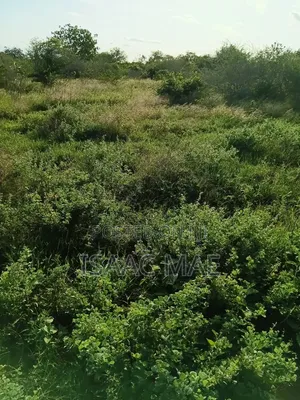 Ekari 2 Zinauzwa Malindi eneo la Sosobora